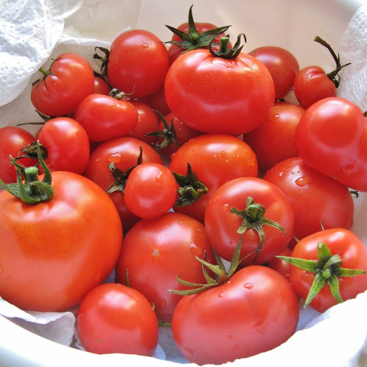 Datça tomato (GI)