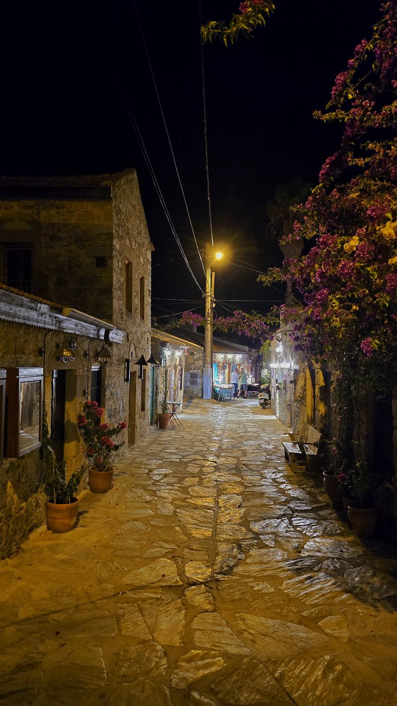 Stone streets and bougainvillea by night