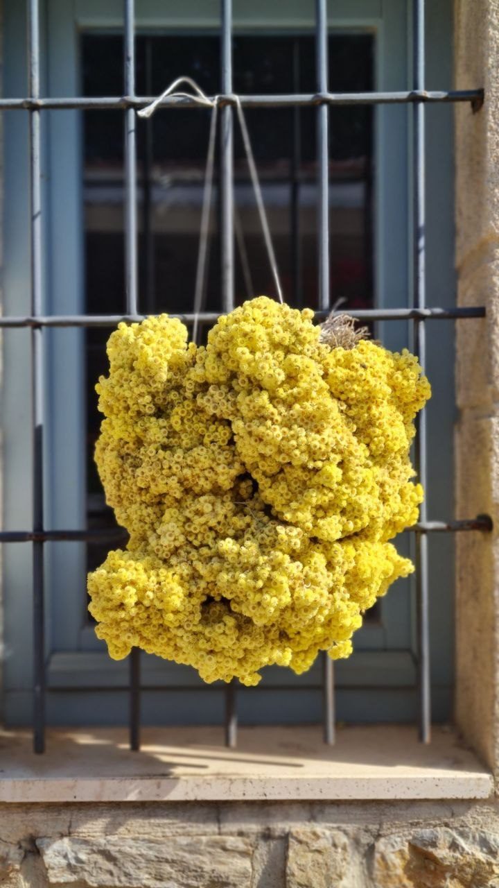 A frame from Eski Datça