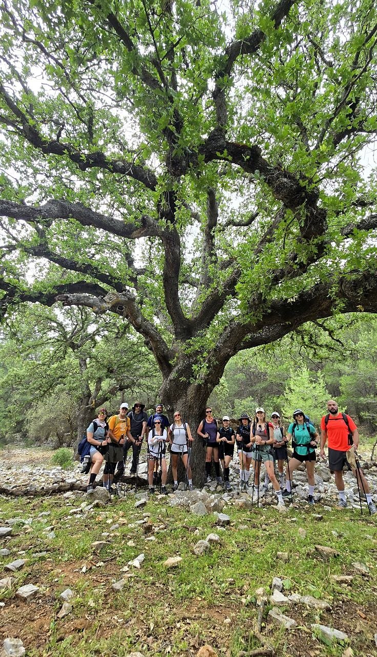Hiking group under a monumental tree on the Carian Trail